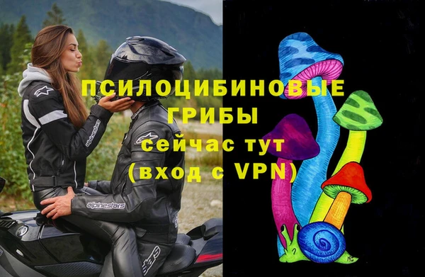 ALPHA PVP Верея