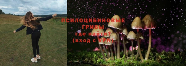 ALPHA PVP Верея