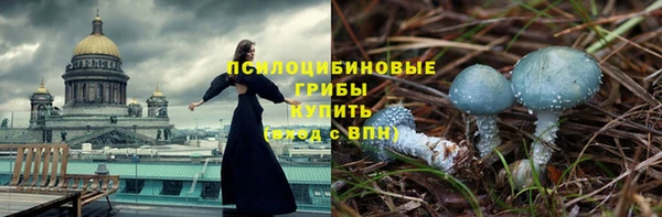 прущая мука Верхний Тагил