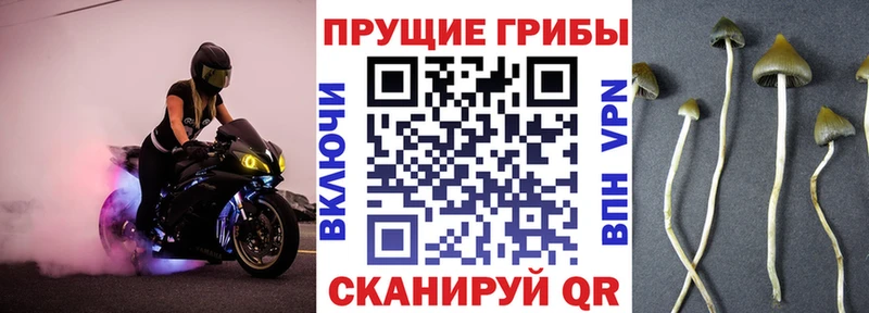 Галлюциногенные грибы Magic Shrooms  Юхнов 
